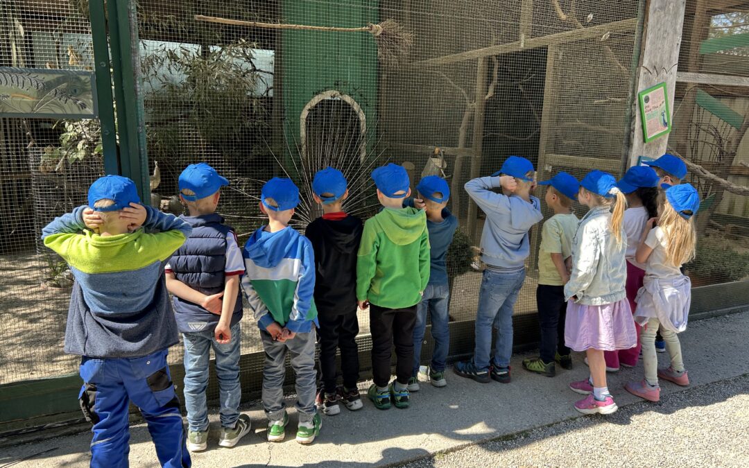 Ausflug zum Reit- und Wildtierpark in Weil