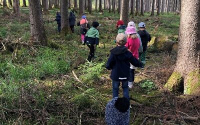 Das Schlaufuchsland im Wald mit dem Förster Stephan Fessler