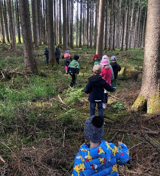 Das Schlaufuchsland im Wald mit dem Förster Stephan Fessler